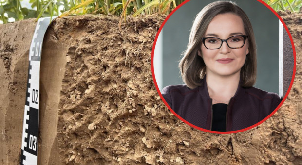 Rolnictwo regeneratywne jako narzędzie adaptacji do zmian klimatu i stabilizacji produkcji