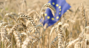 Dopłaty będą znacznie mniejsze? Tyle pieniędzy na hektar ma dostać polski rolnik po roku 2027