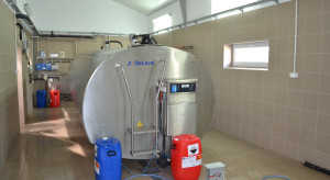 Mleczny kryzys na horyzoncie. Eksperci alarmują: ceny mogą się załamać