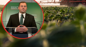 Krajewski: Będzie zakaz importu żywności z pozostałościami niedozwolonych pestycydów