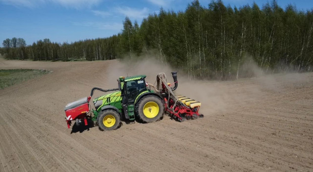Siewy kukurydzy pod presją suszy. Rolnicy sieją głębiej niż zwykle – nawet 10 cm
