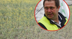 Susza dobija gospodarstwa na Dolnym Śląsku. Rolnicy walczą o przetrwanie