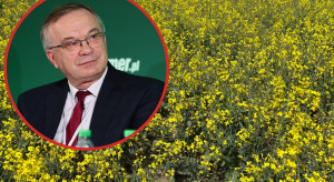 Czy warto jeszcze nawozić rzepak azotem? Ocenia prof. Szczepaniak