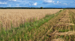 Ile polskiej ziemi kupili w 2025 r. cudzoziemcy?