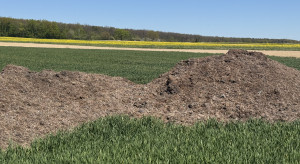 Ile azotu, fosforu i potasu naprawdę dostarczają nawozy naturalne?