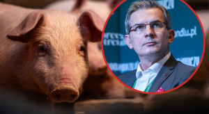 "To ostatni moment na działanie". Dr Witold Choiński o strategii dla rynku wieprzowiny