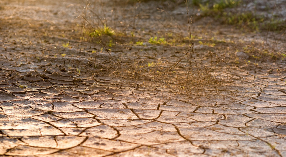 Dzisiaj, 9:25 Susza hydrogeologiczna w Polsce postępuje. Ostrzeżenia dla połowy kraju