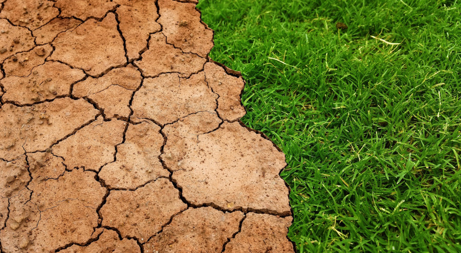 Dzisiaj, 11:25 Silne El Niño może wstrząsnąć rynkami rolnymi. Europa odczuje skutki pośrednio