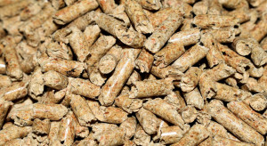 Pellet drożeje w środku lata. Branża wskazuje, skąd nagły wzrost cen