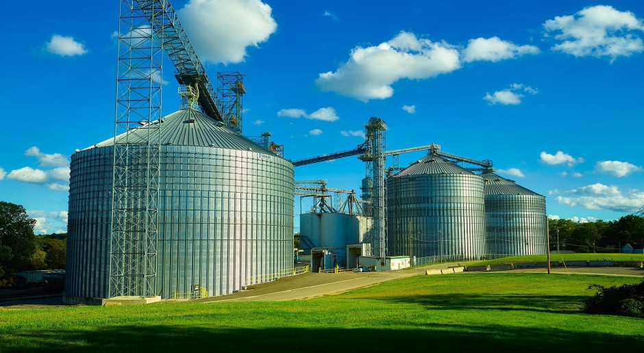 Ponad 2 tys. hektarów i przetwórnia zbóż w pakiecie. Agrofirma na sprzedaż za 10,7 mln dolarów