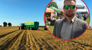 Większy popyt na polskie zboże, również w portach. Prognozy cen i analiza rynków