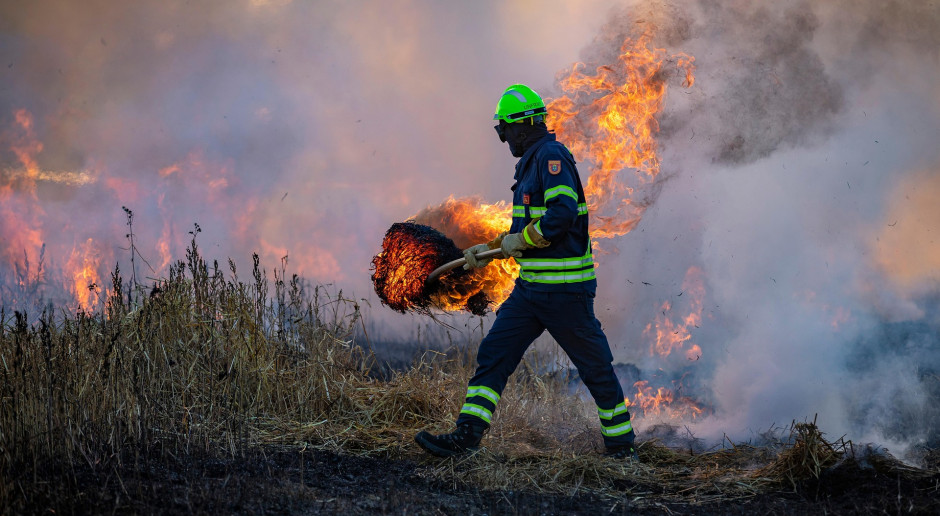 Traktor przewrócił słup, zboże w ogniu a fermy bez prądu. Strażacy i rolnicy gasili pożar i ratowali zwierzęta