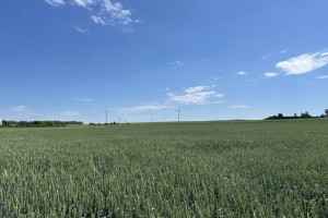 Własna turbina wiatrowa drugą nogą biznesu na polach rolnika spod Nidzicy