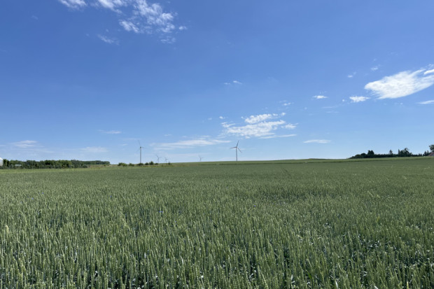 Własna turbina wiatrowa drugą nogą biznesu na polach rolnika spod Nidzicy