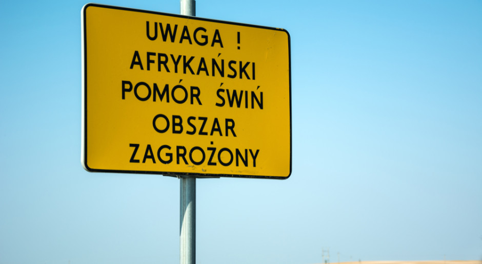 Znamy zasięg nowej czerwonej strefy ASF. 8 gmin z najwyższymi restrykcjami