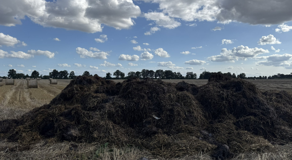 Jakie są maksymalne dawki obornika na hektar? Ile roślina wykorzysta w pierwszym roku?