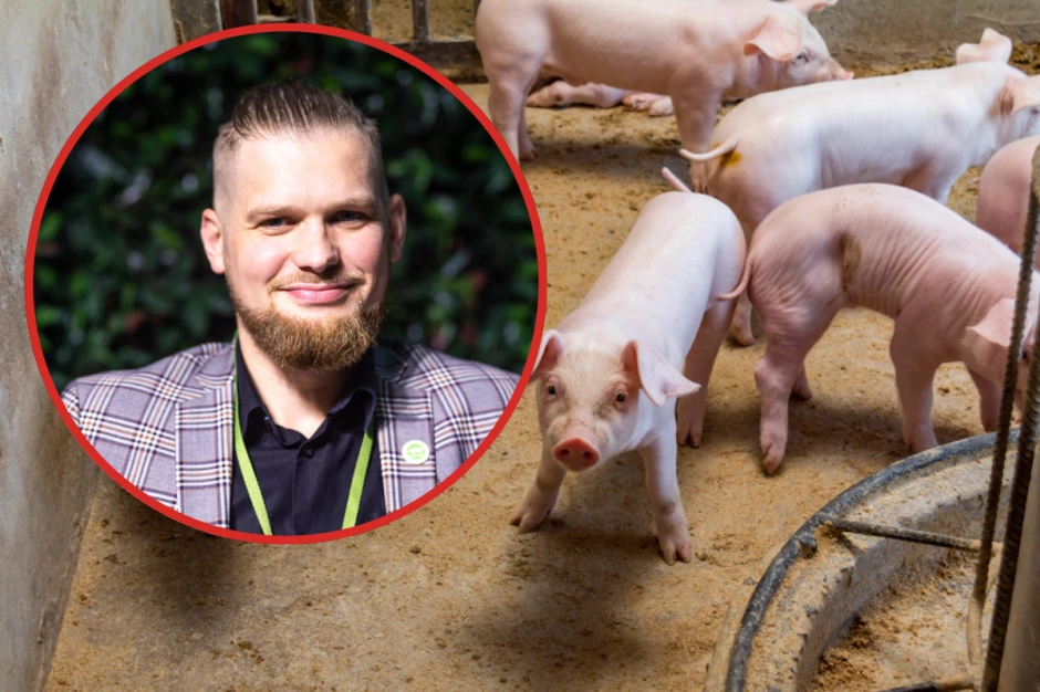 Zwrot na rynku tuczników. Czarniak: ceny wzrosły, ale co najwyżej pokrywają koszty produkcji