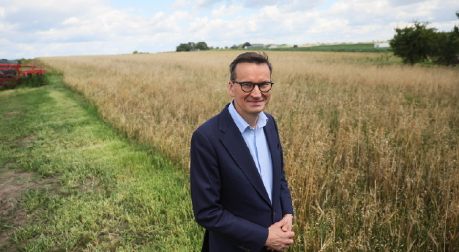 Droższe paliwo, tanie zboże. Morawiecki apeluje o wsparcie dla rolników