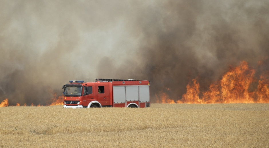 Podpalają bele dla „wyzwania”. Groźny trend z TikToka