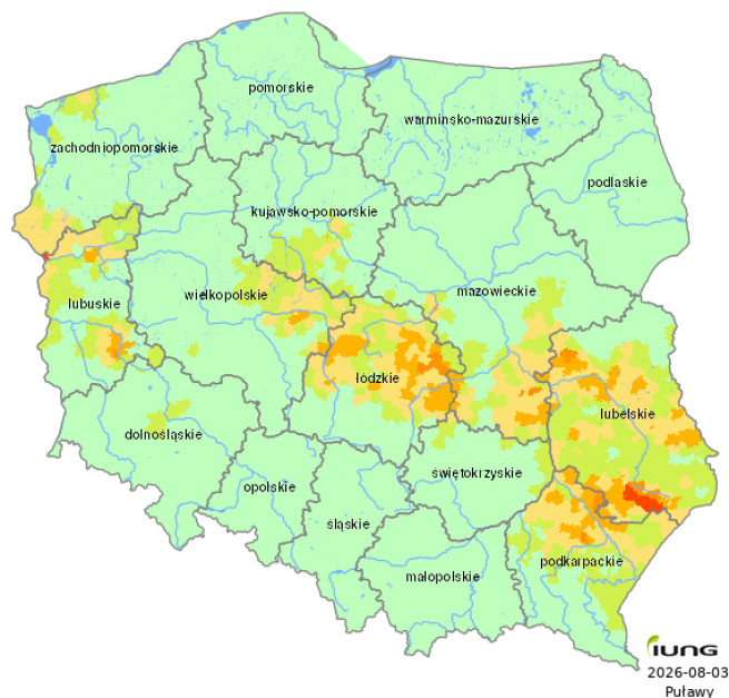 Susza w kukurydzy na ziarno wg IUNG-PIB. 8. raport suszowy