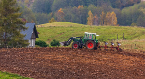 Nawet 6 tys. zł z nasion z hektara. Na tej uprawie można zarobić także w inny sposób