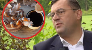 „Pijcie kawę z żołędzi”. Minister o możliwym skoku cen kawy o 300 procent