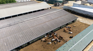 Farma  za 34 mln zł tuż przy polskiej granicy. 2000 ha ziemi i 700 krów w pakiecie