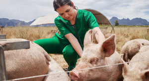 Urzędowi lekarze weterynarii czekają na wynagrodzenia. Zaległości liczone w miesiącach