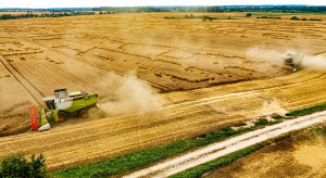 19,5 tys. hektarów na sprzedaż. Większość grunty orne a w pakiecie 600 ha sadu migdałowego
