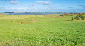 Kupił niemal 380 tys. hektarów. Takiej transakcji jeszcze nie było