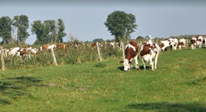 UE wstrzymuje brazylijskie mięso. W tle wysoki import z Mercosur