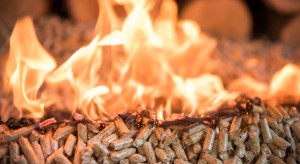 Pellet może kosztować nawet 4 tys. zł za tonę. Rząd wiedział o ryzyku