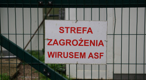 Chcą zablokować możliwość likwidacji zdrowych stad decyzją weterynaryjną. Petycja trafiła do prezydenta