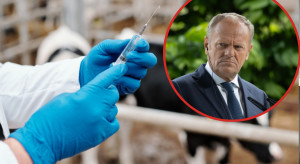 Weterynarze pracują bez wypłat. Biją na alarm i apelują do premiera Tuska
