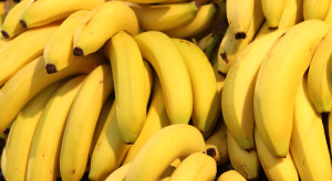 Ma tyle potasu co banan. Polski owoc na wyciągnięcie ręki