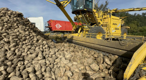 26 kontra 35 euro/t buraków. 3500 zł straty z hektara i druga runda negocjacji bez porozumienia