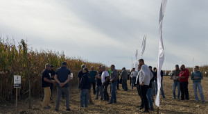 Dzień kukurydzy i sorgo. Jakie odmiany na kolejny sezon poleca RAGT?