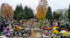 Od 26 października sprzątanie grobów za darmo. Ogłoszono zasady