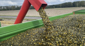 Ta uprawa daje nawet 1400 kg pestki z hektara. Ceny sięgają 12 zł/kg